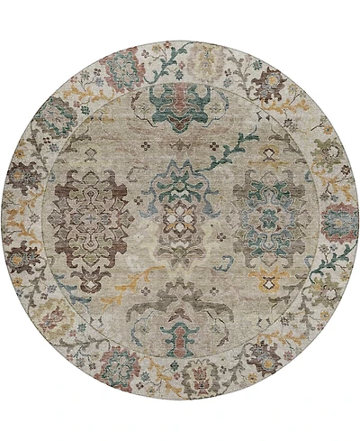 Dalyn Silk Road Washable SR5 8'x8' Round Area Rug