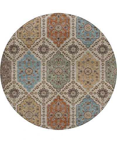 Dalyn Silk Road Washable SR7 8'x8' Round Area Rug