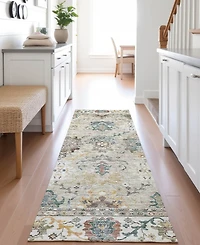 Dalyn Silk Road Washable SR5 2'3"x7'6" Runner Area Rug