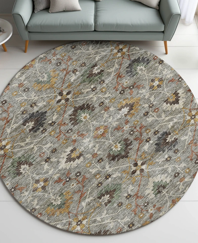 Dalyn Silk Road Washable SR4 8'x8' Round Area Rug