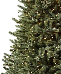 Balsam Hill 6.5' Pre-Lit Vermont White Spruce Ledc Artificial Christmas Tree