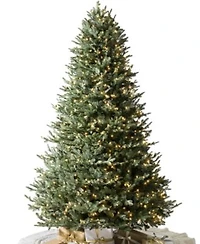 Balsam Hill Pre Lit Fir Ledc Artificial Christmas Tree Collection