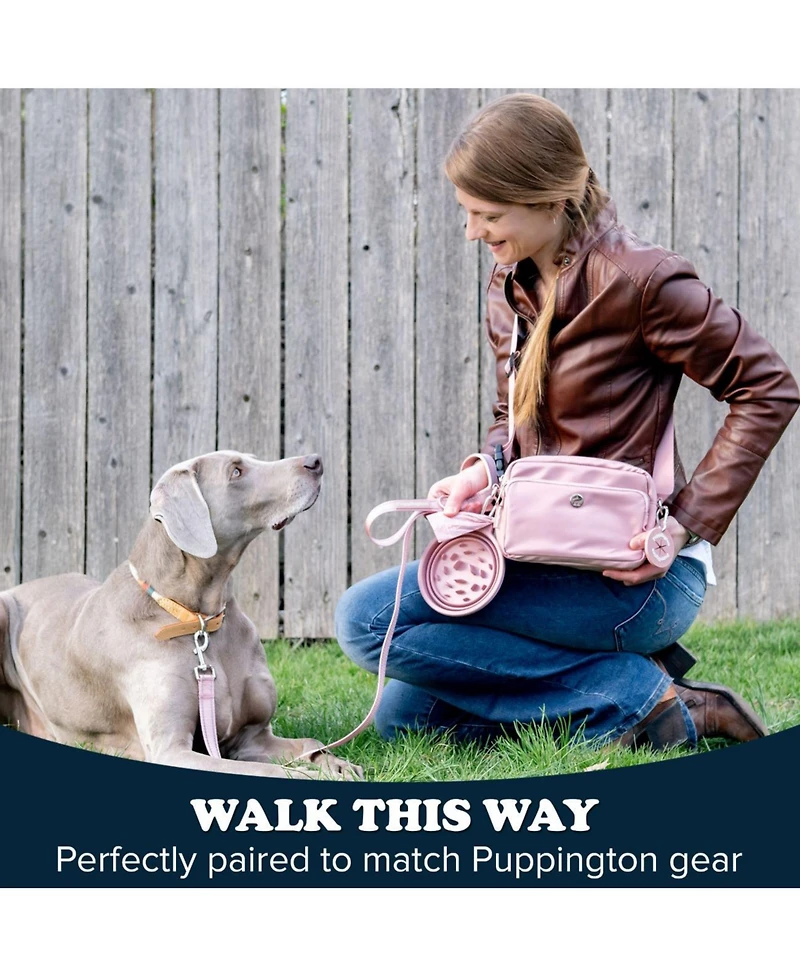 Puppington Reflective Leash