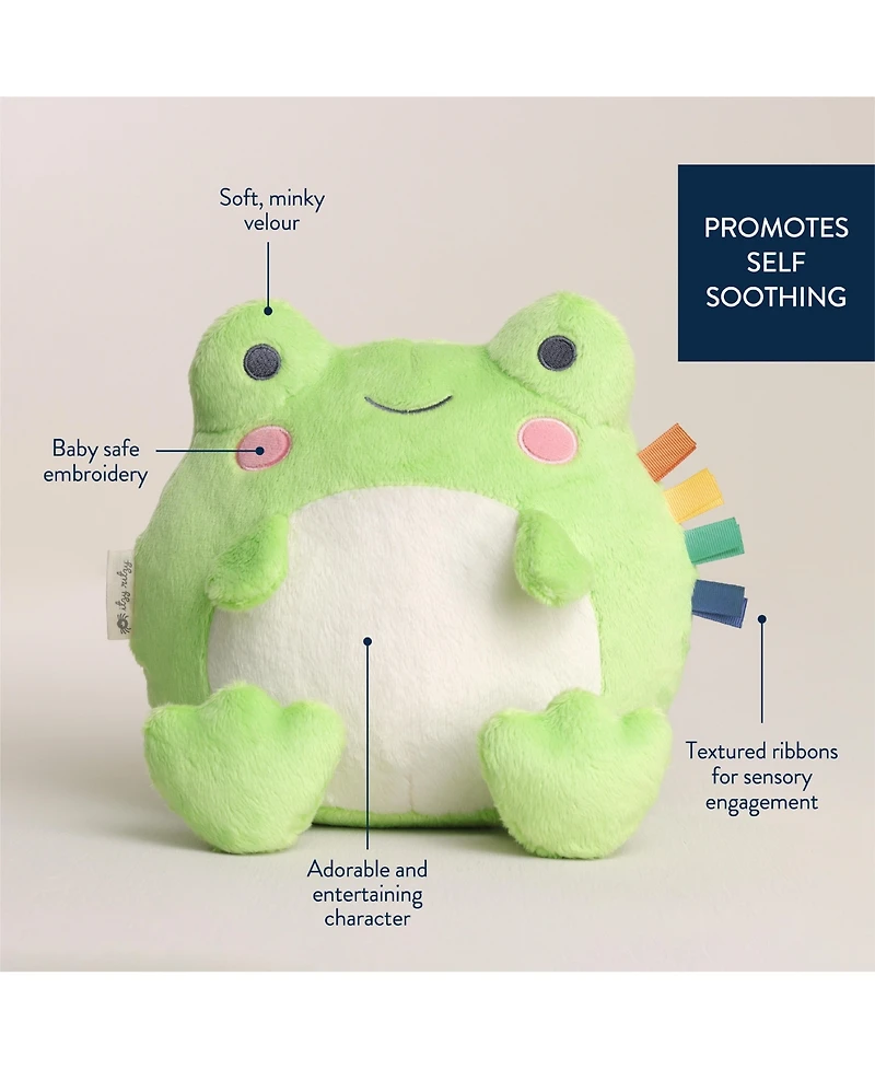 Itzy Ritzy Baby Sweetie Snuggles Frog
