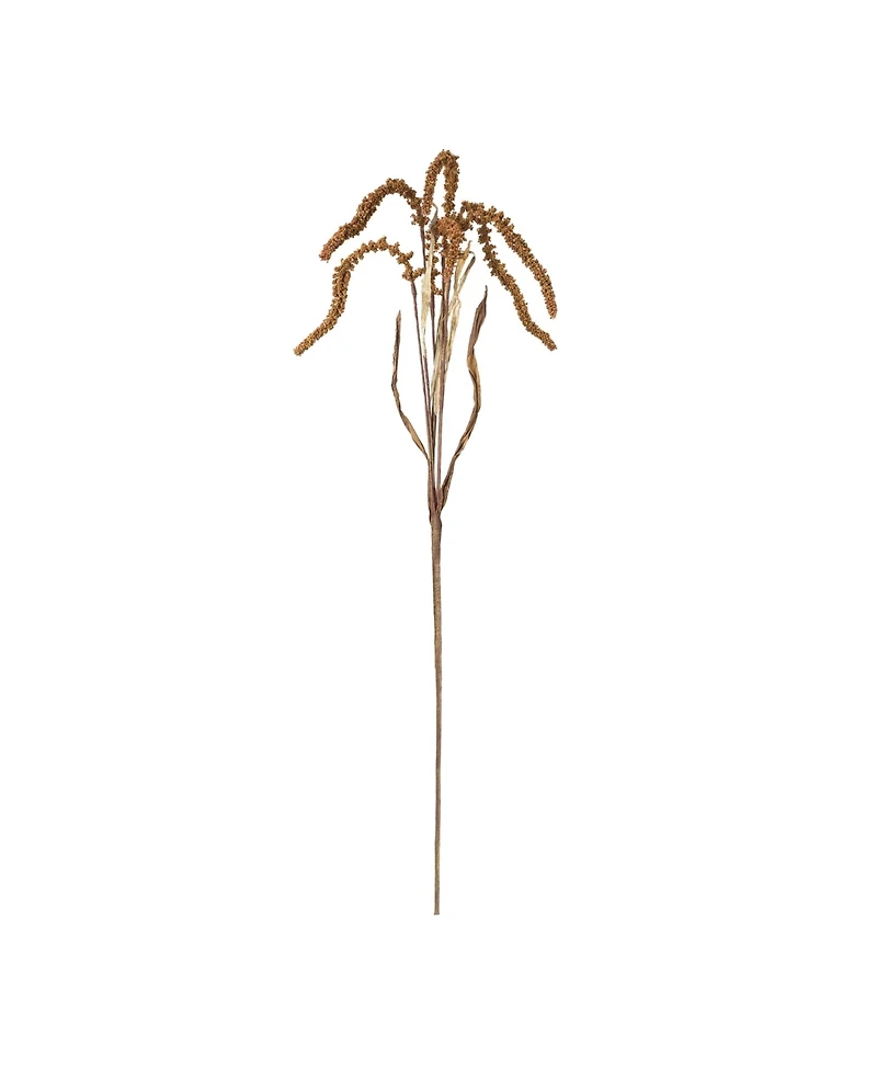 Set of 12 Amaranthus Stems for Decorative Arrangements