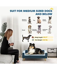 PawHut Pet Bed, Cat or Dog Sofa for Small to Medium Dogs w/ Cushion