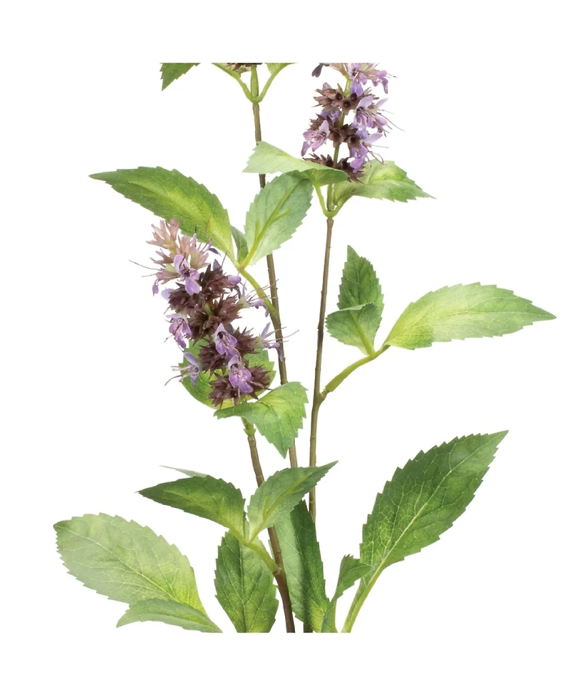 Buddleia Stem for Elegant Floral Arrangements and Home Decor (Set of 6)