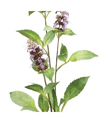 Buddleia Stem for Elegant Floral Arrangements and Home Decor (Set of 6)