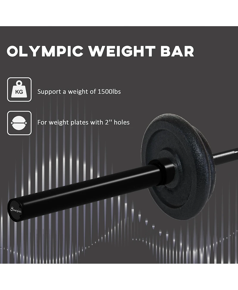 Soozier Olympic Weight Bar, 1500lbs Capacity,