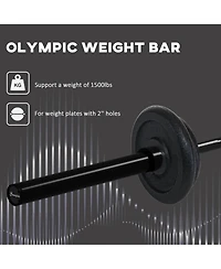 Soozier Olympic Weight Bar, 1500lbs Capacity,