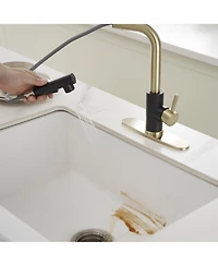 Greenspring 2 Sprayer Single Hole Single-Handle Pull Out Kitchen Faucet in Matte Black and Brushed Gold