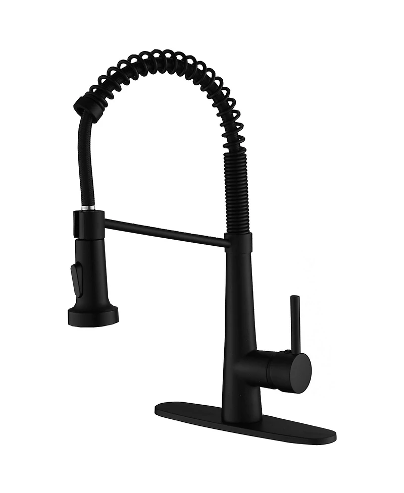 Greenspring Single-Handle Pull-Down Sprayer 2 Spray High Arc Kitchen Faucet With Deck Plate in Matte Black