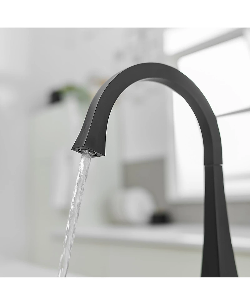 Single Handle Standard Kitchen Sink Faucet in Matte Black
