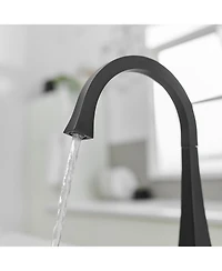 Single Handle Standard Kitchen Sink Faucet in Matte Black