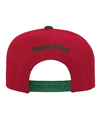 Mitchell Ness Big Boys and Girls Red/Green New Jersey Devils Core Team Two-Tone Snapback Hat