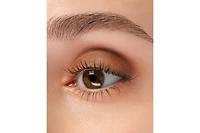 Anna Sui Matte Eye Color 702