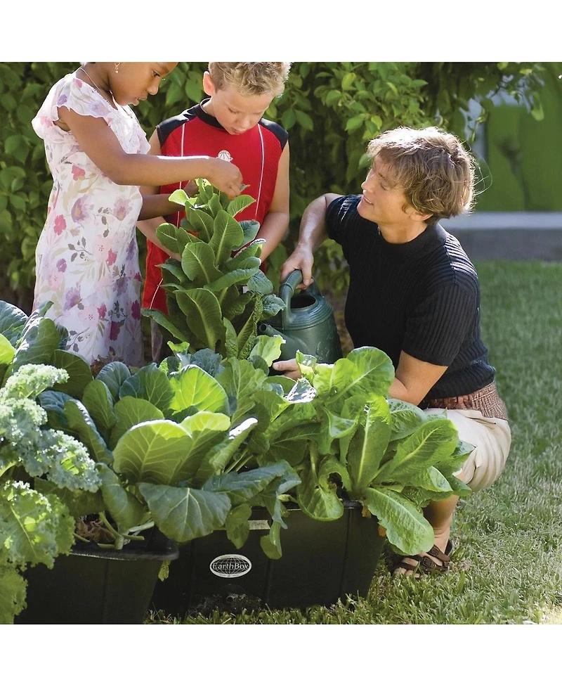 EarthBox: Ready to Grow Base Kit