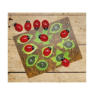 Yellow Door Ladybug Stones and Detailed Activity Cards