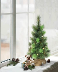 Puleo Pre-Lit Table Top Artificial Christmas Tree with 35 Lights in Sac, 2'