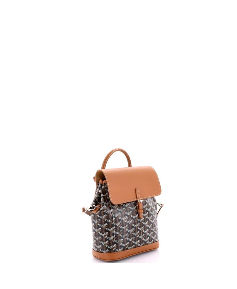 Pre-Owned Goyard Mini Alpin Backpack Coated Canvas