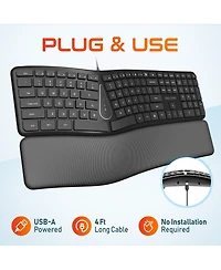Delton KB250 Ergonomic Keyboard with Wrist Rest Pad (DKBE250-u)