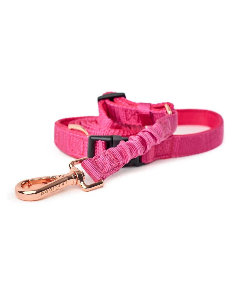 Dogistry 3-in-1 City Dog Leash