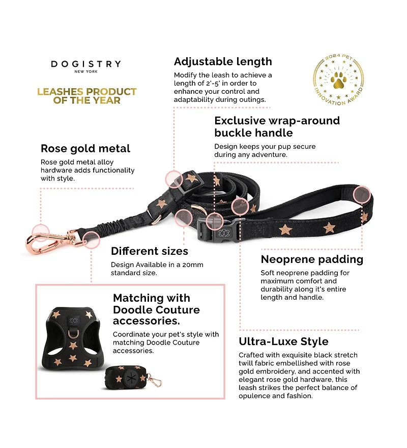 Dogistry 3-in-1 City Dog Leash