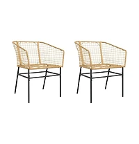 Garden Chair Brown Pe rattan, powder-coated steel Standard