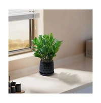 Chic Crate Set of 2 Modern Ceramic Planters