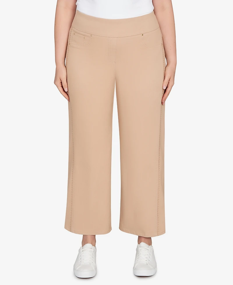 Ruby Rd. Plus Embroidered Stretch Pull On Pants