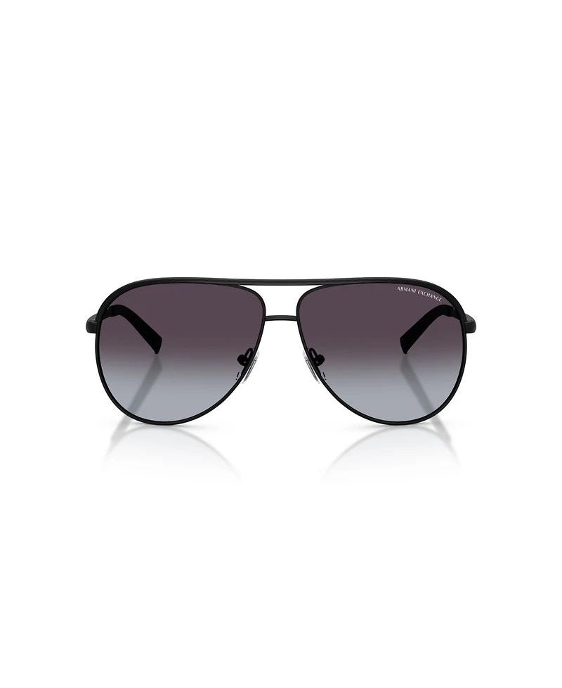 A|X Armani Exchange Unisex Pilot Sunglasses, AX2002