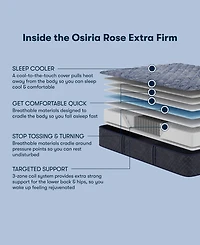 Serta Perfect Sleeper Osiria Rose 12" Extra Firm Tight Top Mattress Set