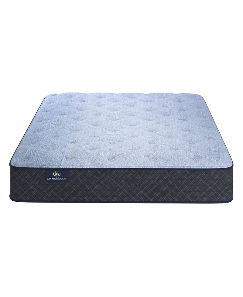 Serta Perfect Sleeper Cobra Lily 10.5" Plush Tight Top Mattress Set, Twin Xl