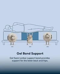 Serta Perfect Sleeper Osiria Rose 12" Extra Firm Tight Top Mattress Set, Twin