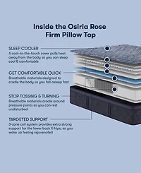 Serta Perfect Sleeper Osiria Rose 14" Firm Pillow Top Mattress Set