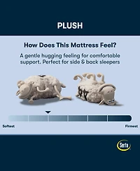 Serta Perfect Sleeper Tundra Valley 14" Plush Hybrid Tight Top Mattress Set, Twin Xl
