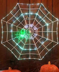 4 ft. Outdoor Animated Spider Web