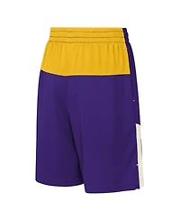 Outerstuff Big Boys and Girls Purple Minnesota Vikings Fandemonium Mesh Shorts