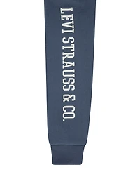 Levi's Boys Toddler 2T-4T 2 Piece Patch Long Sleeves Hoodie and Joggers Set