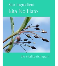 Albion Skin Conditioner Essential N