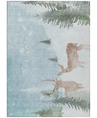 Addison Holiday Washable Indoor Outdoor Acn1821 Rug Collection