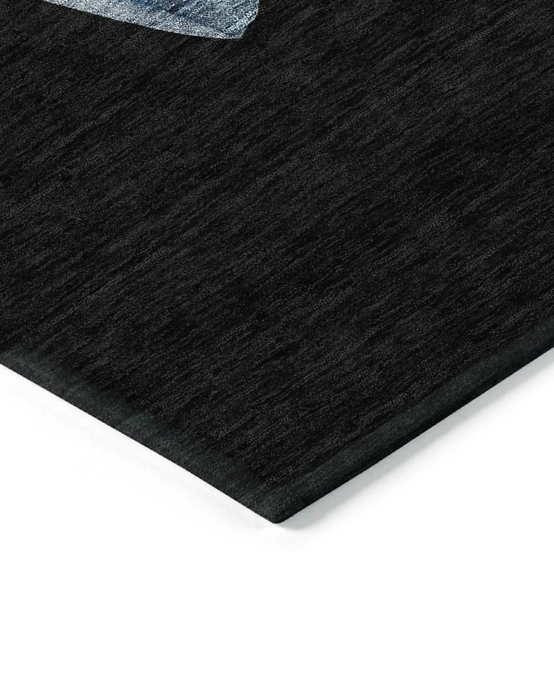 Addison Holiday Washable Indoor/Outdoor ACN1826 2'3"x7'6" Runner Area Rug