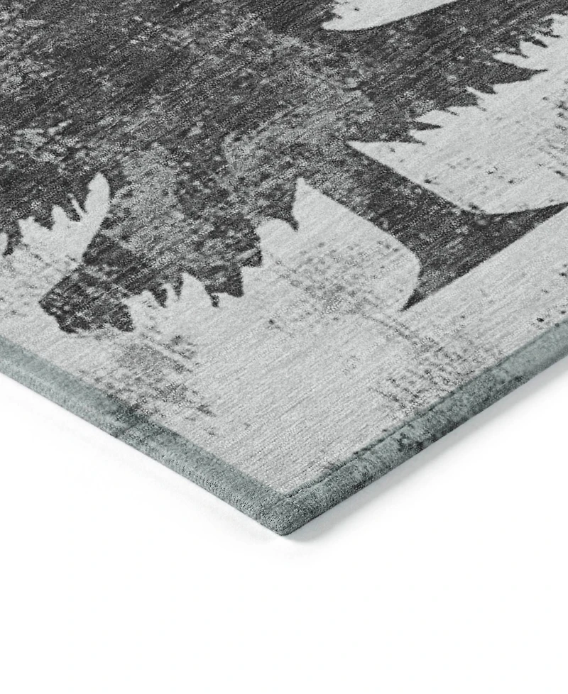 Addison Holiday Washable Indoor/Outdoor ACN1811 2'6"x3'10" Area Rug