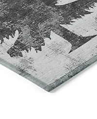 Addison Holiday Washable Indoor/Outdoor ACN1811 2'6"x3'10" Area Rug