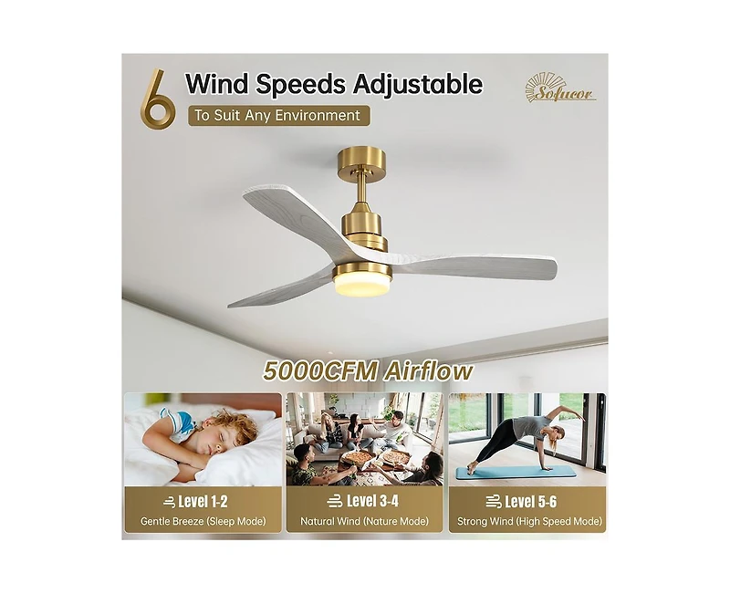 52-inch Modern Minimalist Golden 3 Blades Ceiling Fan with 3 color Dimmable and Memory Function Light and Remote control