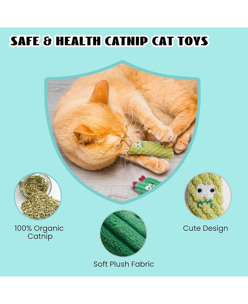 Pawsible 5 Pack Cactus Cat Toy Set, 100% Premium Cat Herb Filling, Natural Stimulation for Cats, Durable for Teething, Perfect Kitten Toy