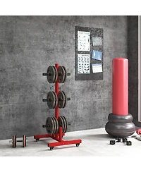 Soozier Olympic Weight Plate Rack with 4 Wheels and 6 Fasten Clamps,