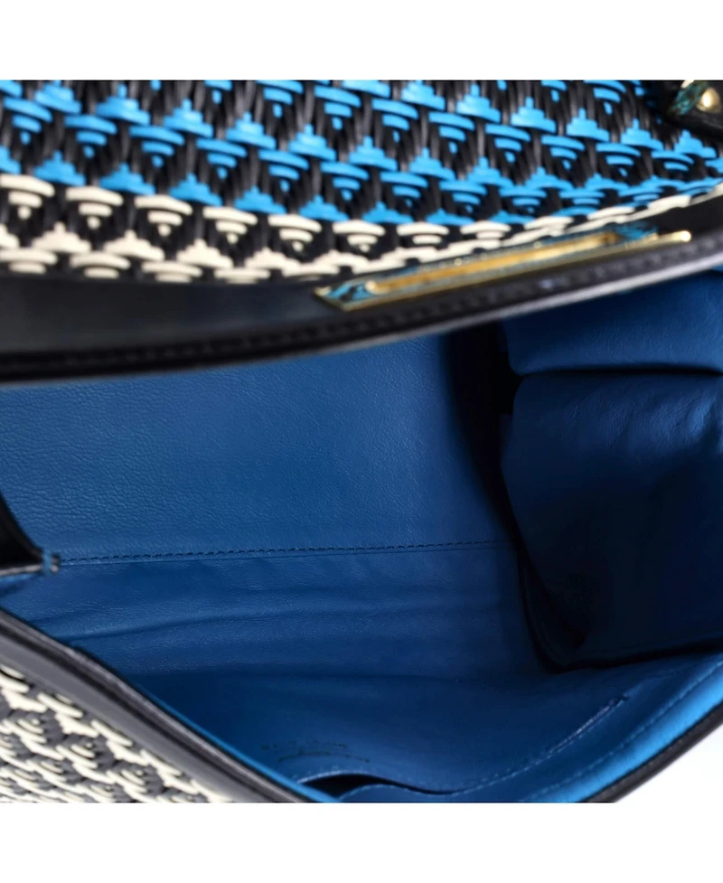 Pre-Owned Salvatore Ferragamo Medium Sofia Satchel Multicolor Woven Leather