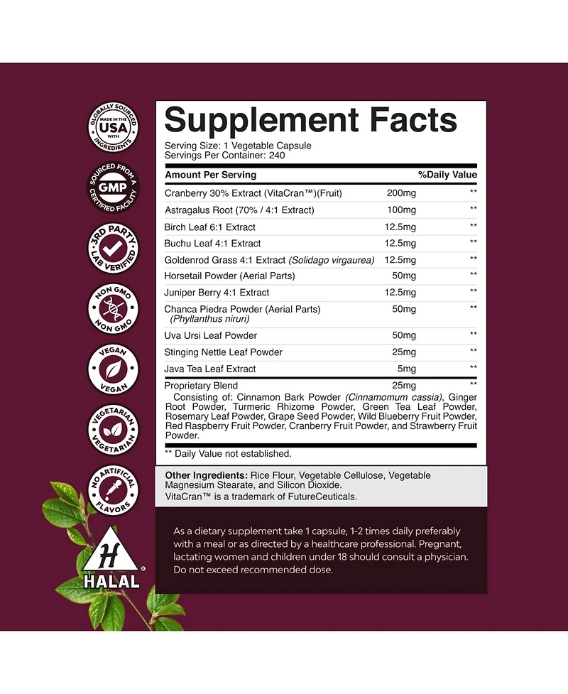 Kidney Support, 240ct