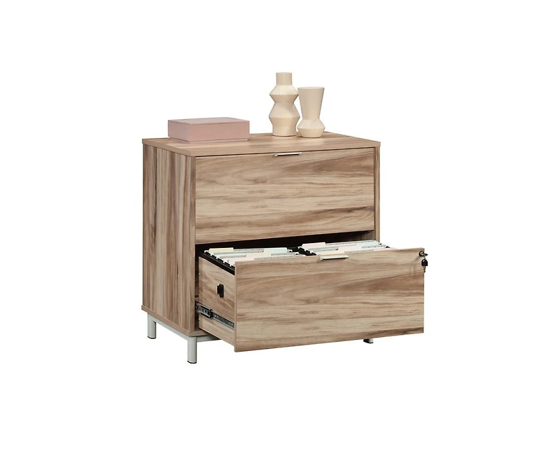 Casainc Storage File Cabinet with 2 Drawers